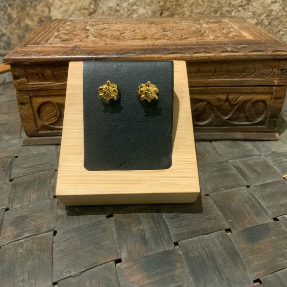 Gold Turtle Stud Earrings